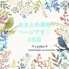 専用ページです(⁎ᴗ͈ˬᴗ͈⁎)