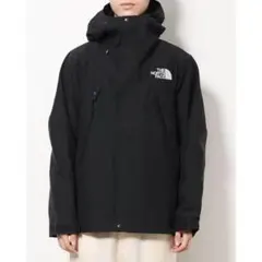 定価6万円 国内正規品 THE NORTH FACE マウンテンジャケット