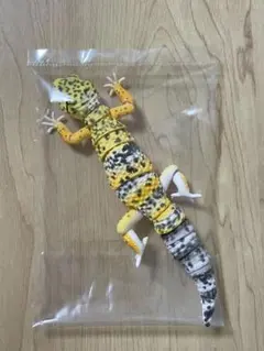ヒョウモントカゲモドキ（ハイイエロー）　いきもの大図鑑アドバンス　生き物