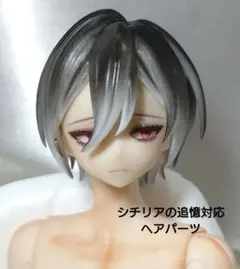 み*の様 海外ディーラー様作シチリアの追憶対応ヘアパーツ ①