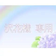 沢花様専用ページ