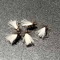 Item thumbnail for item a3188d9e-a20b-47bd-a974-6beecf2c34ad