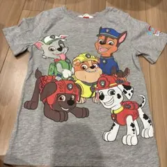 パウパト　パウパトロール　男の子　子供服　半袖　Tシャツ　夏服