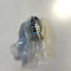 skzoo アイドル