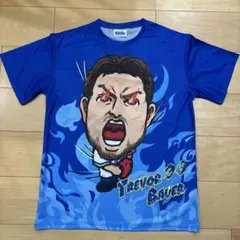 横浜denaベイスターズ 青炎