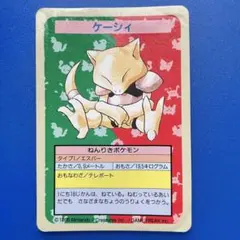 2026年最新】トップサン リザードンの人気アイテム - メルカリ