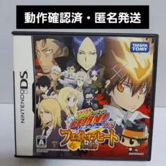 【動作確認済】家庭教師ヒットマンREBORN! DS フェイトオブヒート炎の運命