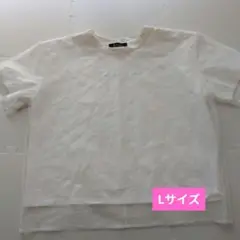 Lサイズ ホワイト 半袖Tシャツ