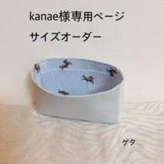kanae様専用ページサイズオーダーバッグインバッグ