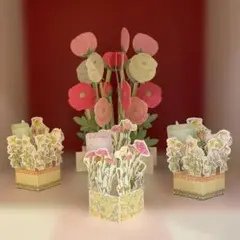 グリーティングカード BD Best wishes 立体カード