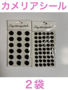 Item thumbnail for item 8d5dc2c7-dceb-42fd-89c6-36c2599e3b3d