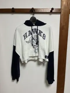 Item thumbnail for item d76faea5-a713-4aac-be20-f36b474cae3f