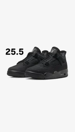 Item thumbnail for item bdf5d3f9-cae7-4d7f-bf9b-99ad9753cea7