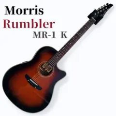 2025年最新】rumbler モーリス ギターの人気アイテム - メルカリ