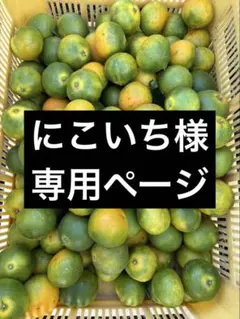 【にこいち様　専用】