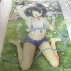 Ambitious mission クリアポスター 弥栄 ピカットアニメ