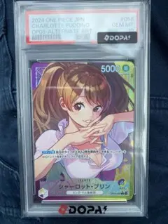 2026年最新】プリン リーダー psa10の人気アイテム - メルカリ