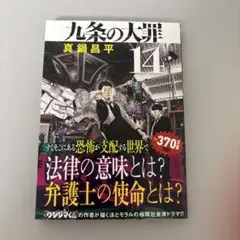 九条の大罪(14)