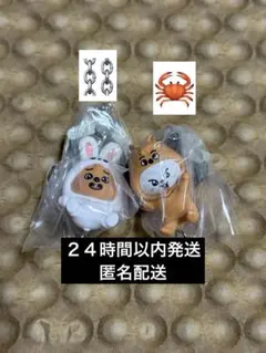 SKZOO つまんでつなげてますこっと vol.2★ハン　リノ　味噌★スキズ