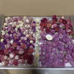 Item thumbnail for item dbc5806b-af7d-47b3-b692-3b6fd76d8b4d