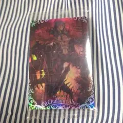 FGO.fate ウエハース SR クー・フーリン[オルタ]バーサーカー