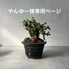 やんゆー様専用ページ