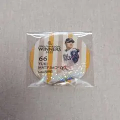 ありむう様 専用