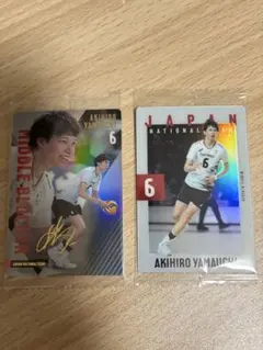 Item thumbnail for item 0a03e598-e686-4edf-af24-61ac9c32af39