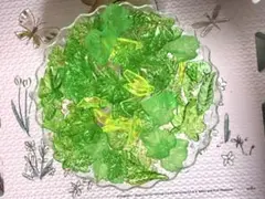 きゅうちゃん様 リクエスト 9点 まとめ商品