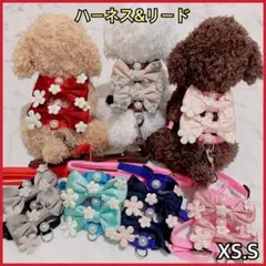 犬ハーネス♡猫ハーネス 小型犬 首輪 ペット リボンパール レッド:XS