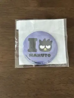 TREASURE カプセルトイ はぴだんぶい ばつ丸 ハルト 缶バッジ