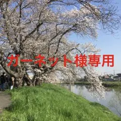 ガーネット様専用