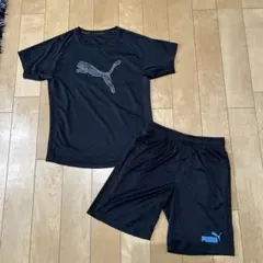 プーマ　PUMA 半袖　ハーフパンツ　キッズ　ジュニア　140㎝　上下