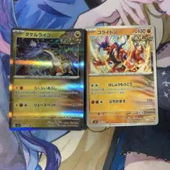 タケルライコ コライドン　ダブルセット