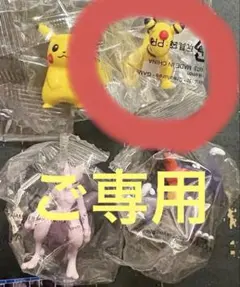 ポケモンゲットコレクションズ 遺伝子の共鳴 デンリュウ