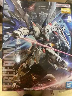 MG 1/100 フリーダムガンダム Ver.2.0のサムネイル