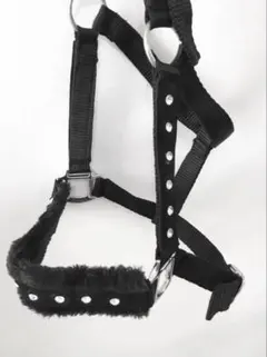 Item thumbnail for item 9a397718-4bcd-4d40-8865-bdfa859f2654