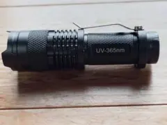 Item thumbnail for item 0454d073-ffec-434c-bfaa-9faa4af242a0