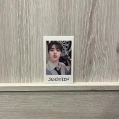 セブチ エスクプス SEVENTEEN Holiday インスタントフォト