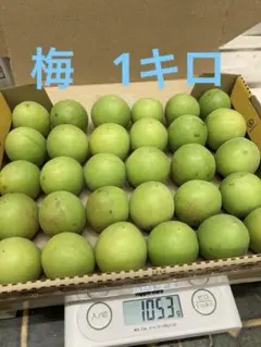 青梅 1キロのサムネイル