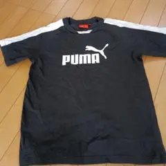 PUMA 黒 Tシャツ 160サイズ
