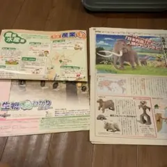 進研ゼミ小学生講座　生物まるわかりポスター 産業まるわかりポスターセット