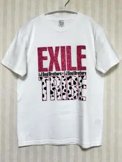 三代目 Tシャツ 三代目JSB KINGDOM フォトTシャツ(L) - メルカリ