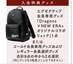 中日ドラゴンズ ファンクラブ限定 入会特典グッズ NEWERA リュック 中日ドラゴンズ ファンクラブ限定 入会特典グッズ NEWERA リュック