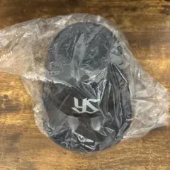 ヤクルトスワローズ　ヘルメット　ミニ