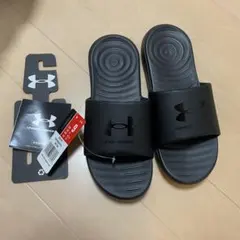 Item thumbnail for item 96861899-c234-4c58-a971-f308efed6ee2