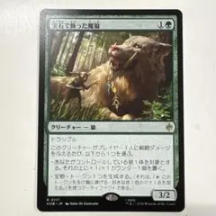 MTG 日本語版 森の轟き、ルムラ - メルカリ