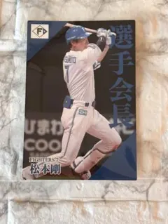 松本剛2024プロ野球チップス カー PL-12 日本ハム 開幕一軍登録選手一覧