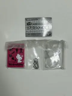 サンリオキャラクターズ　プロフィール帳　ガチャガチャ チャーミーキティ