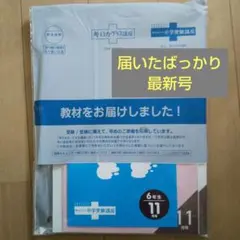 2025年最新】進研ゼミ 中学受験講座 5年生の人気アイテム - メルカリ
